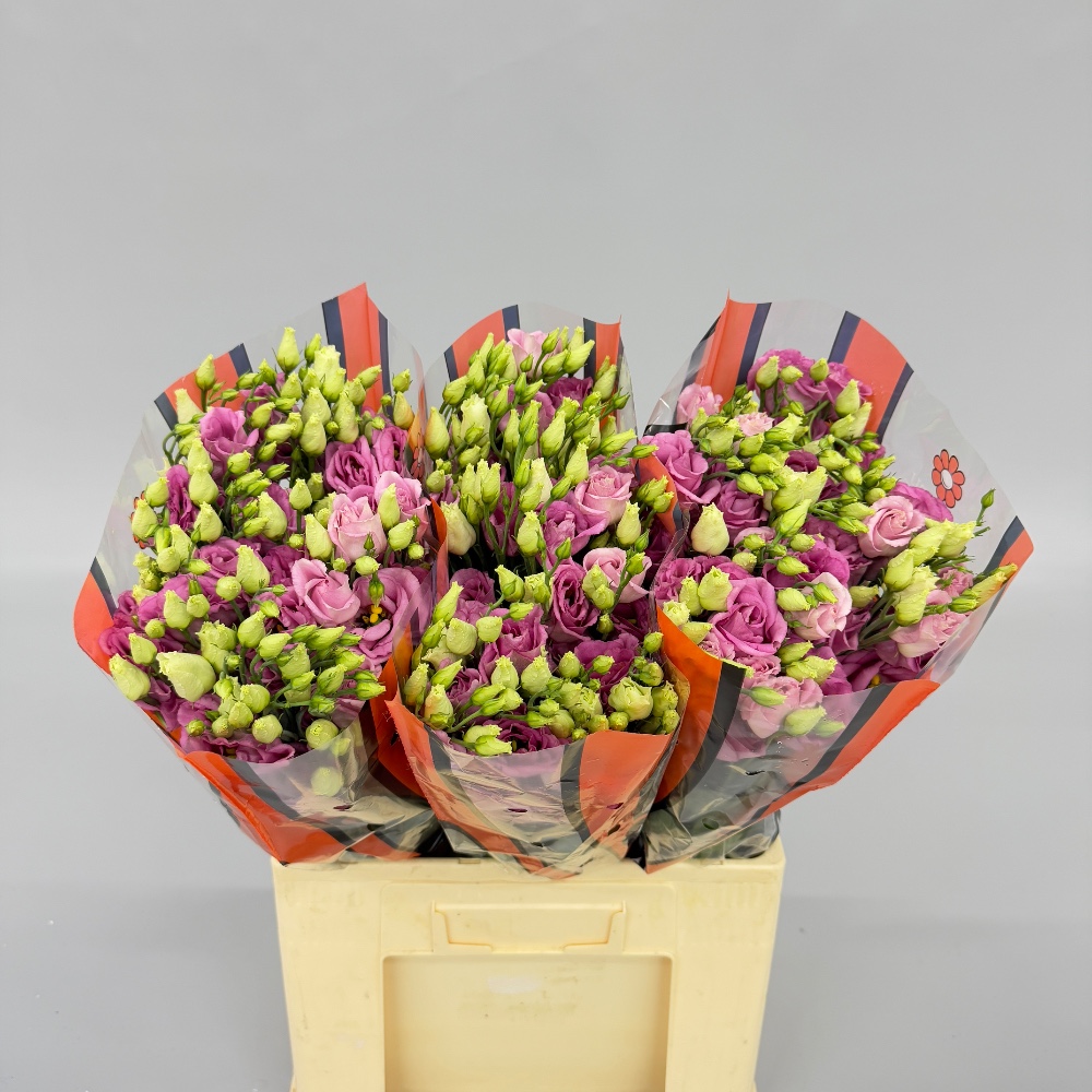 Еустома "Рожева"