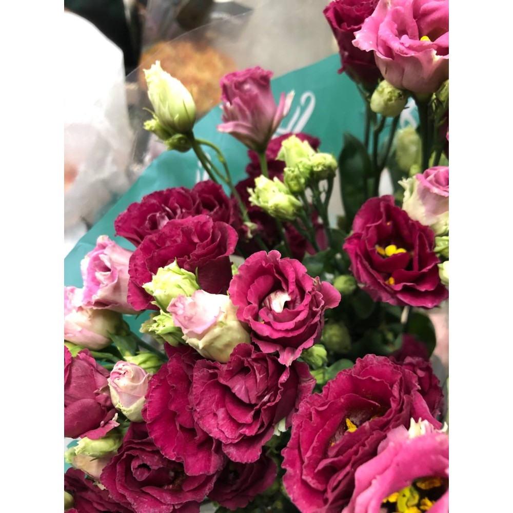 Еустома "Ароса Ред"