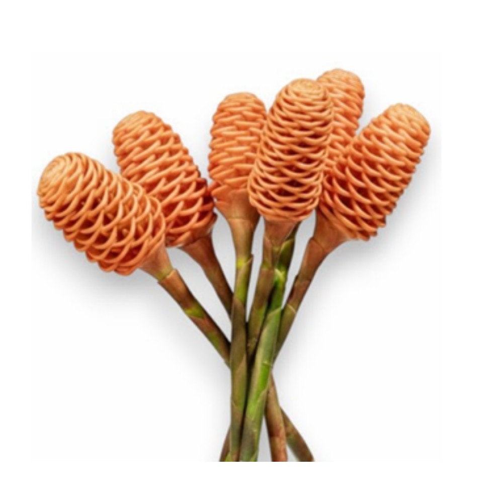 Імбир "Шампо Піч"