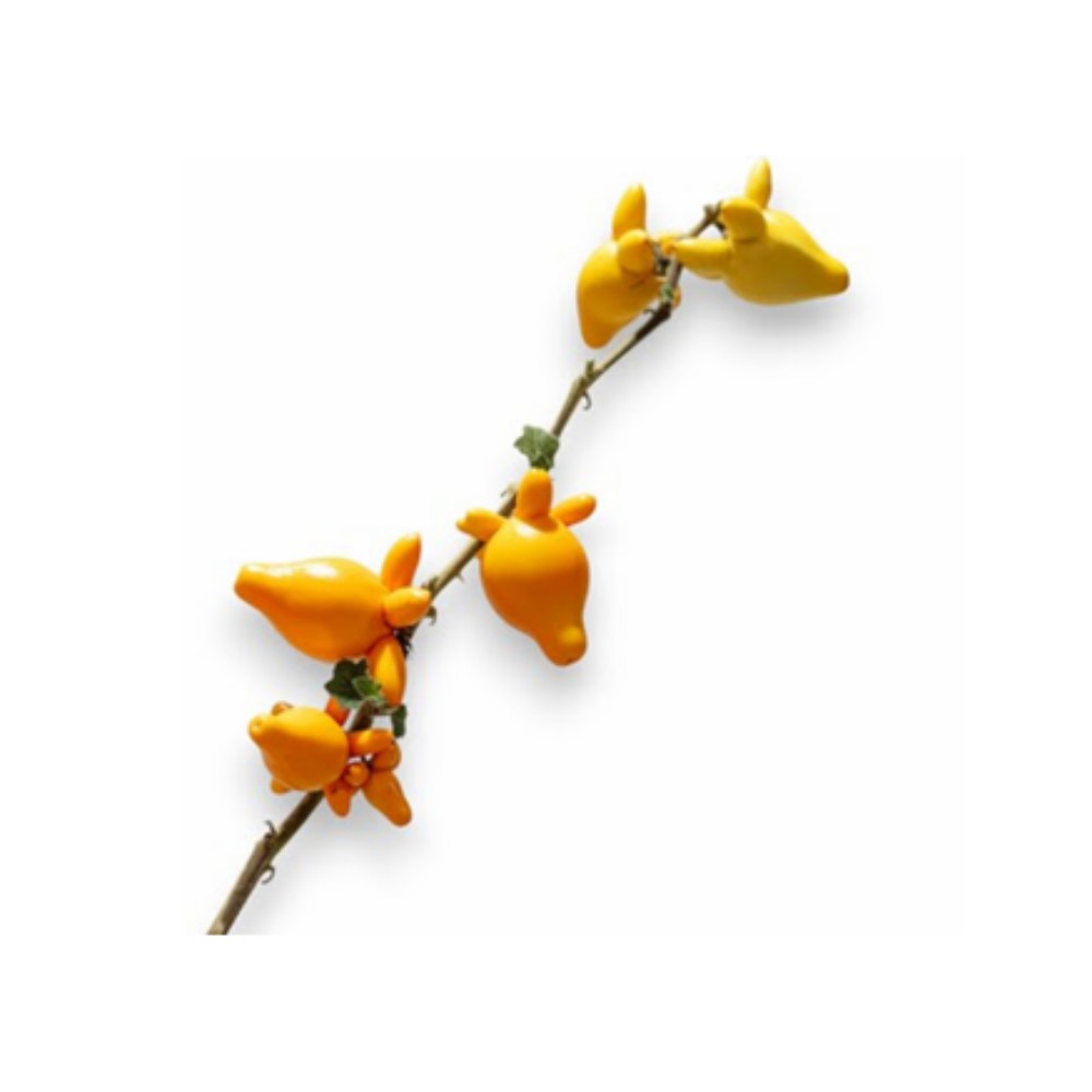 Соланум Жовтий