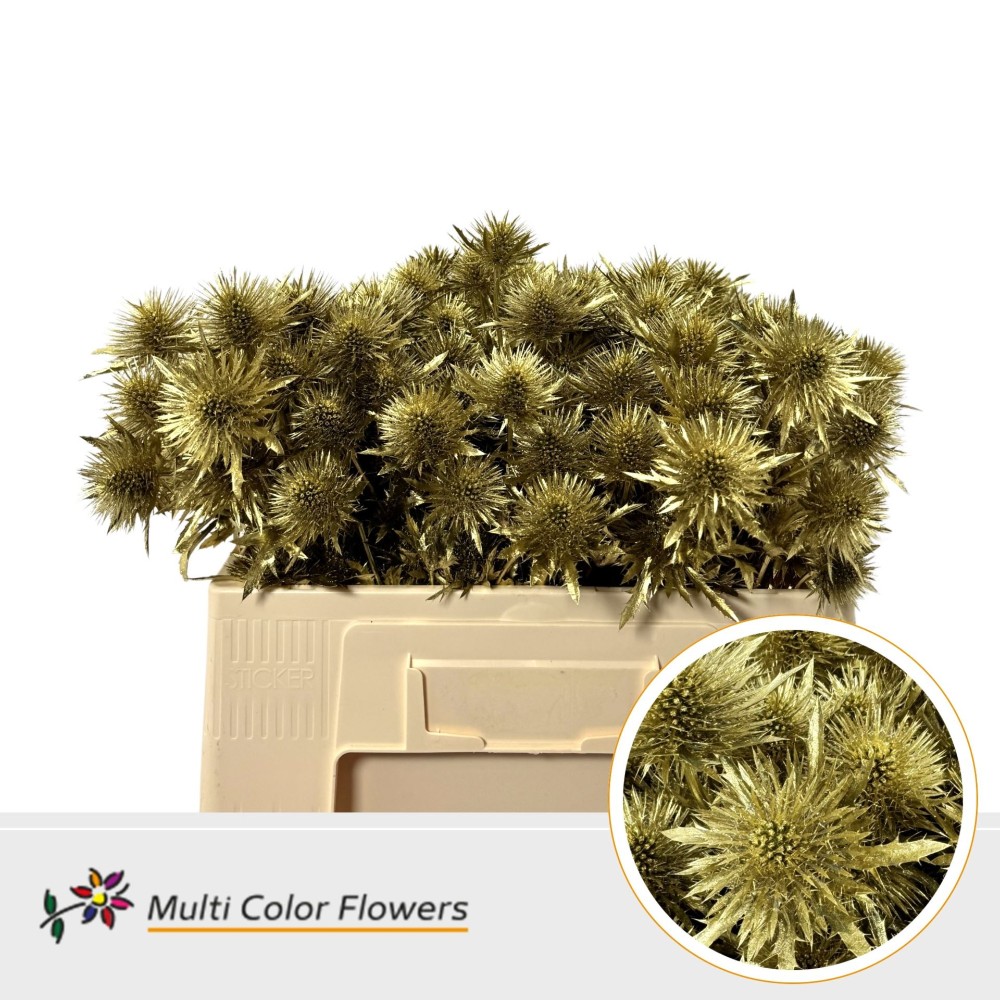 Ерінгіум "Золото"