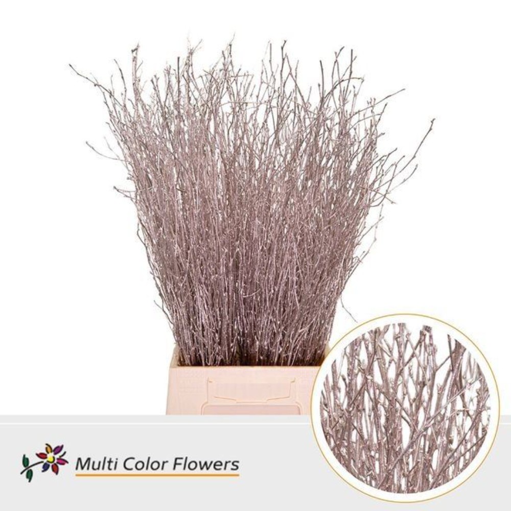 Бетула "Пінк Металік"