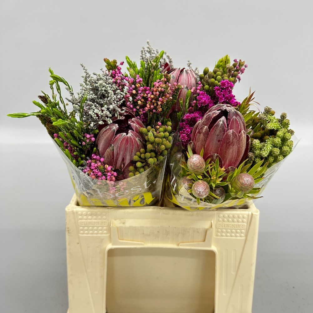 Букет "З Протеї"