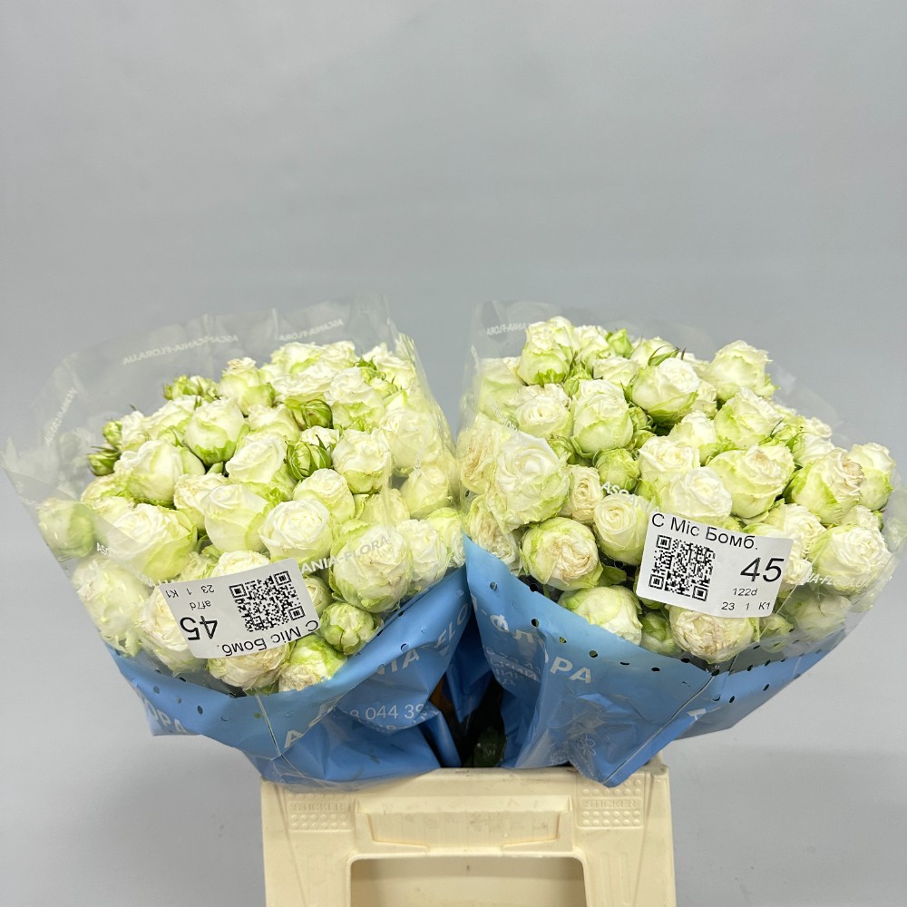 Троянда "Міс Бомбастік" 45 см.