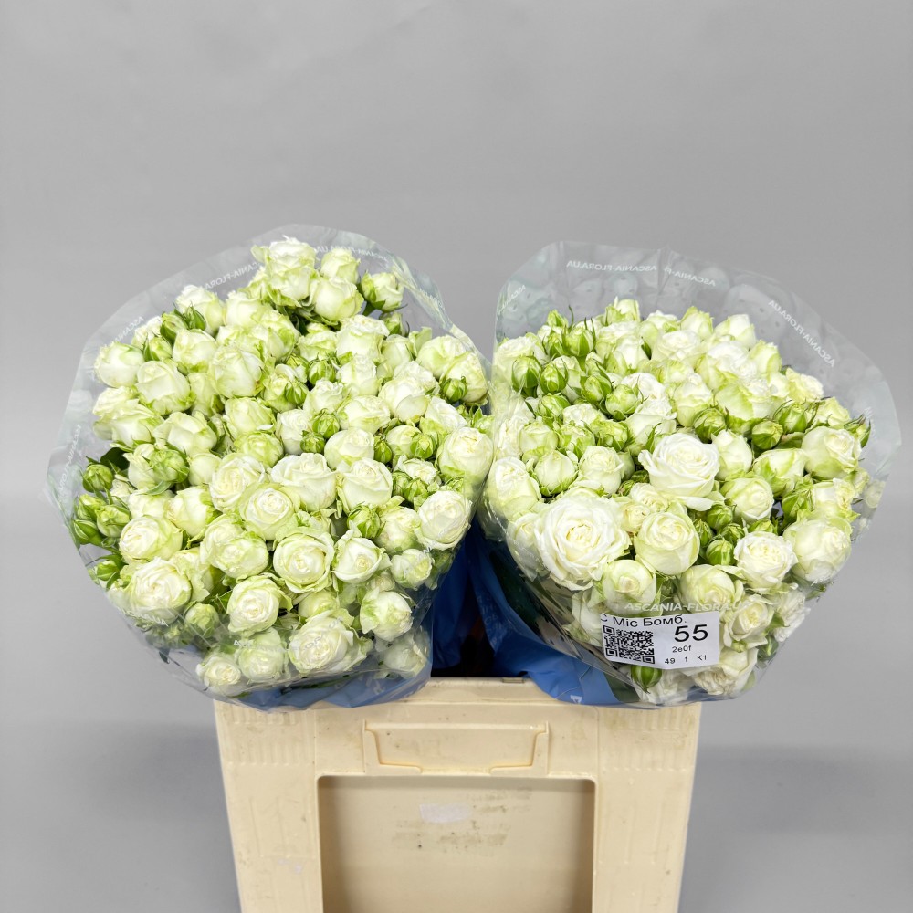 Троянда "Міс Бомбастік" 55 см.