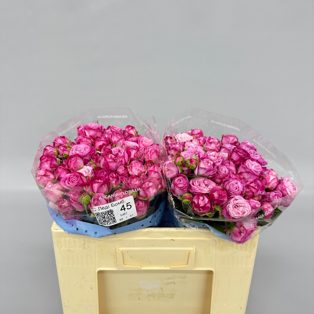 Троянда "Леді Бомбастік" 45 см.