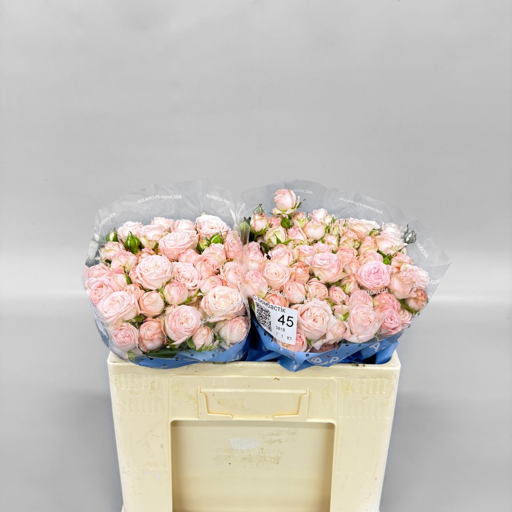 Троянда "Бомбастік" 45 см.