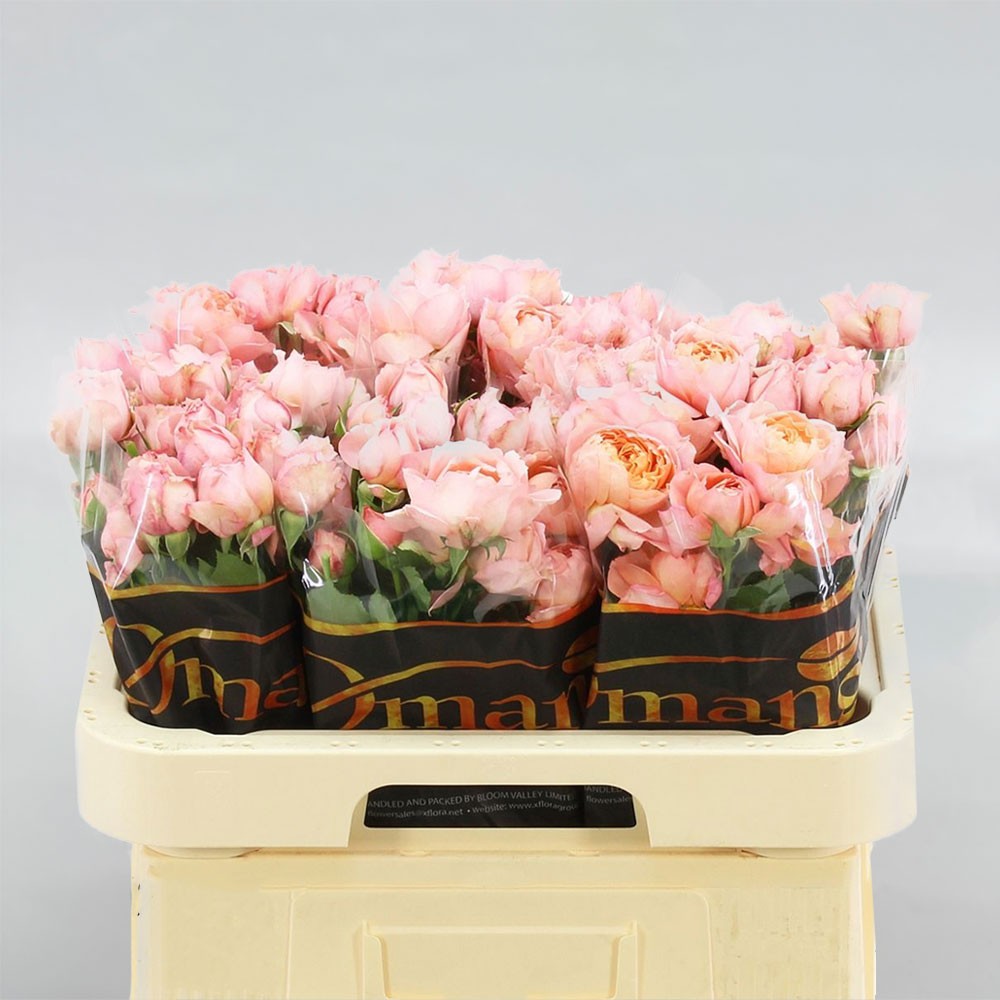 Троянда "Джульета" 60 см.