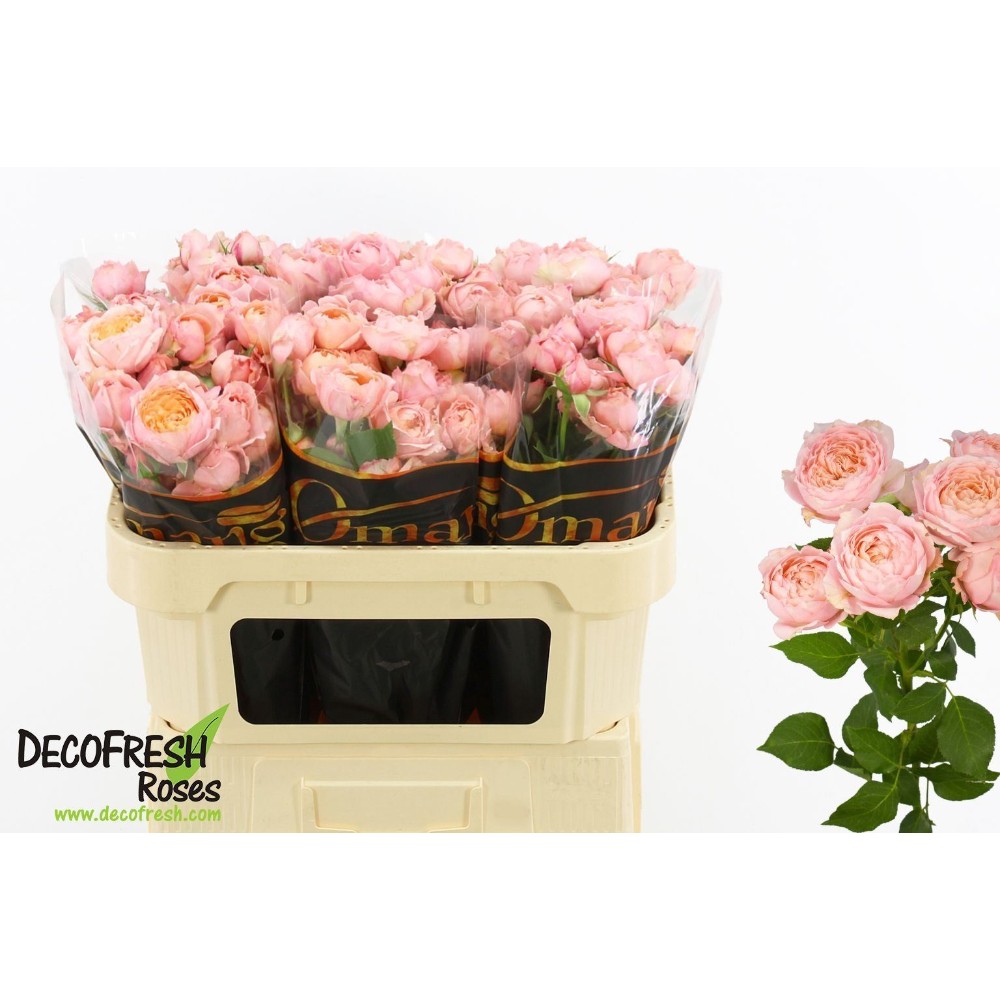 Троянда "Джульета" 70 см.