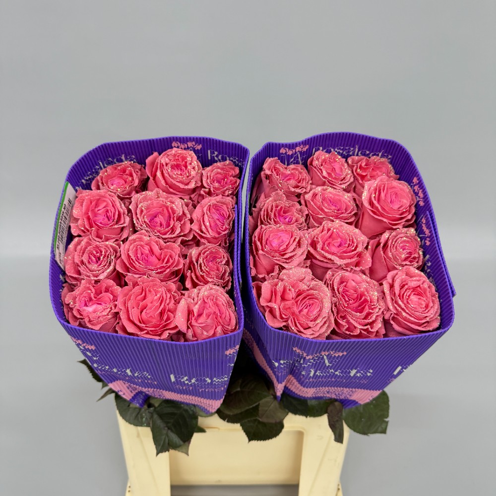 Троянда "Фарбована Шугар Раш" 60 см