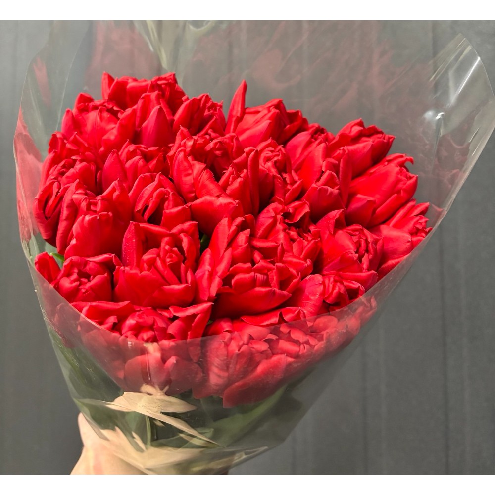 Тюльпан "Ларго"